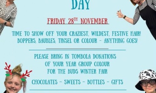 News » Buds Crazy Christmas Hair!